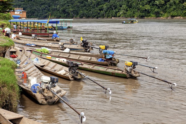 Wooden boats with motors along an overgrown riverbank, longboat on a river near Rurrenabaque in the
