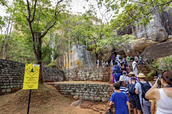 Group of people on a hiking trail next to rocks and trees, tourist environment, tourists at the