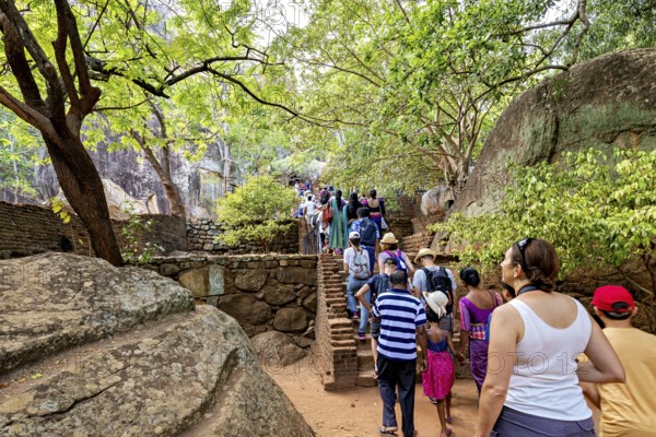 Tourists walk up a rocky staircase surrounded by trees and rocks, relaxed atmosphere, tourists at