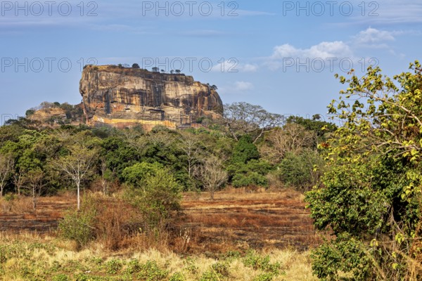 Field with a distinctive rock in the background under a slightly cloudy sky, The Lion Rock near