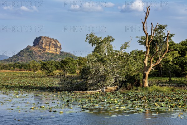 Rocks in the distance flanked by a body of water and trees under a blue sky, The Lion Rock near