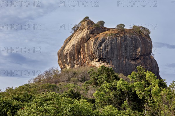 A large rock formation with trees at the top rises above lush greenery under a cloudy sky, The Lion