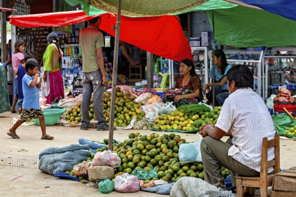 People trade vividly under colorful tents in a market full of fruit, The Rurrenabaque market in