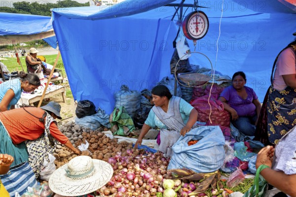 Women sell vegetables such as onions and potatoes under a blue tarp at a market, The Rurrenabaque