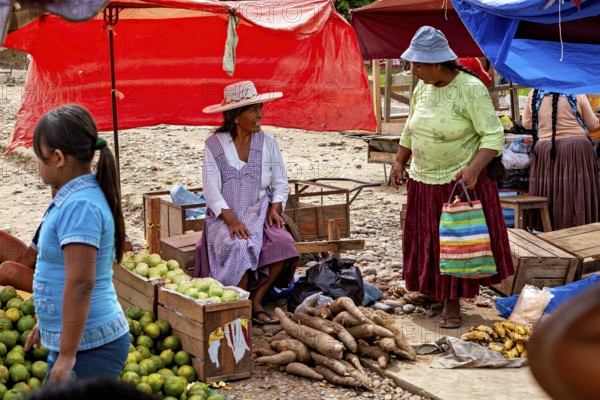Saleswomen offer local products such as yuca and mangoes under red tarps, The Rurrenabaque market