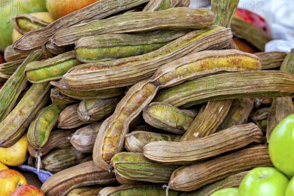 A pile of dried beans surrounded by various fresh fruits in rich colors, The fruits of the ice