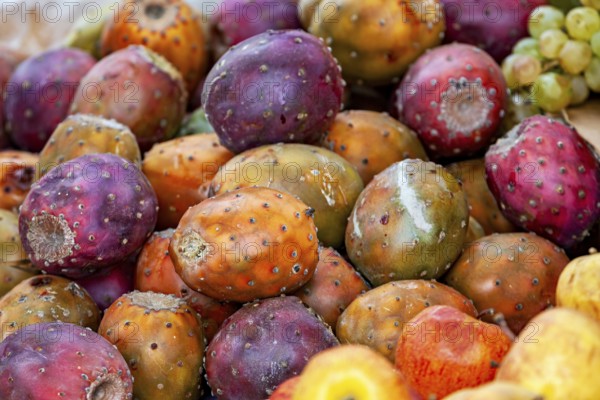 A close-up of colorful prickly pears in a market that radiate diversity and vibrancy, The fruits