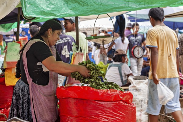 A woman sells fresh vegetables at a busy market with colorful stalls, The Rurrenabaque Market in
