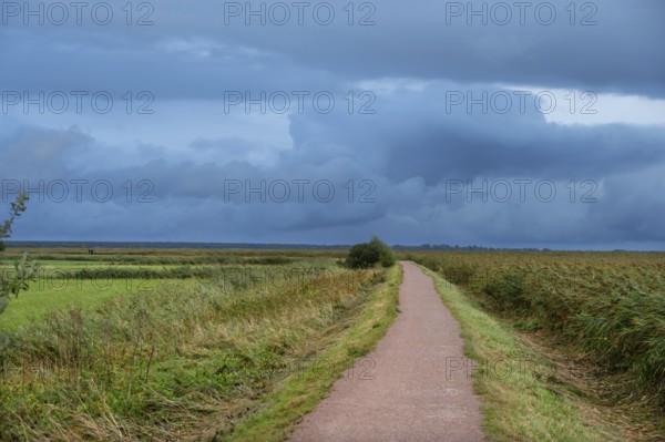 Hiking trail through the lagoon landscape, rain clouds (Nimbostratus), Ahrenshoop, Darß,