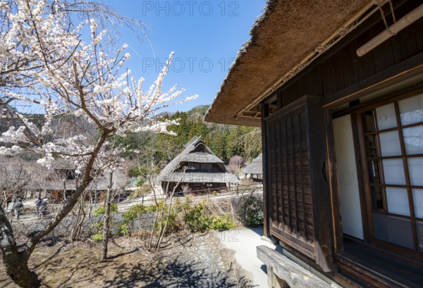 Iyashinosato open-air museum, old Japanese village with traditional houses, Fujikawaguchiko, Saiko,