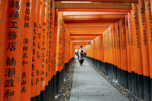 Visitors on a journey through hundreds of red traditional torii gates, Fushimi Inari-taisha, Shinto