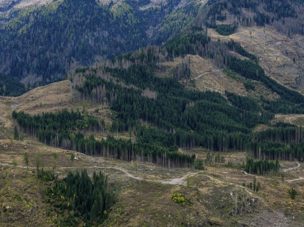Logging, clearing, clearcut, timber industry, logging, mountain landscape, aerial view, autumn,