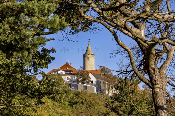 A castle with a tower surrounded by trees and branches, highlighted by a clear sky, The