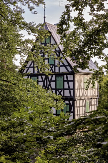 Half-timbered house hidden in thick trees, with distinctive black half-timbering and green