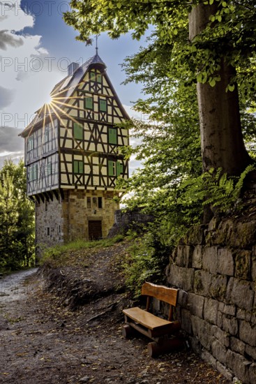 Half-timbered house in the forest, next to a wooden bench under strong sunlight, surrounded by