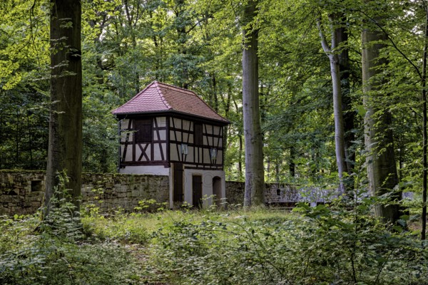 Historic half-timbered house in a dense forest, surrounded by a stone wall and lush greenery, The