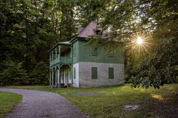 Green house in the forest with evening sun, quiet path and wooden veranda in peaceful surroundings,