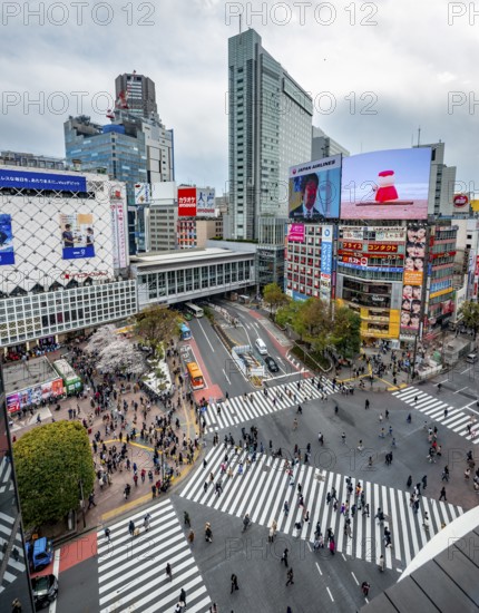 Modern houses with colorful neon signs and large road intersection, Shibuya Crossing from above,