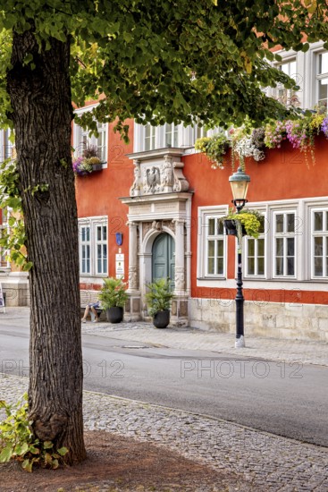 Tree in front of a red house façade with richly decorated windows in a cozy old town setting, The