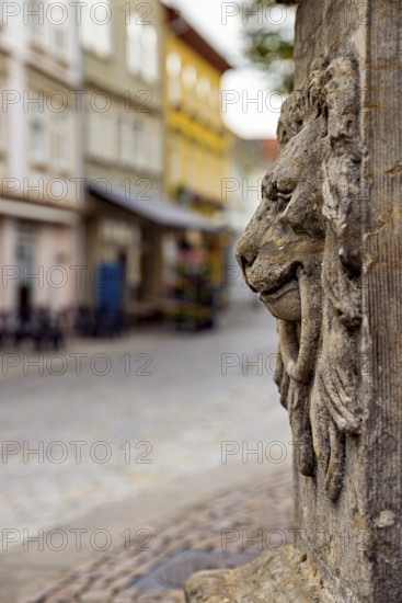 Close-up of a lion relief with blurred old town in the background, lion head at the fountain in the