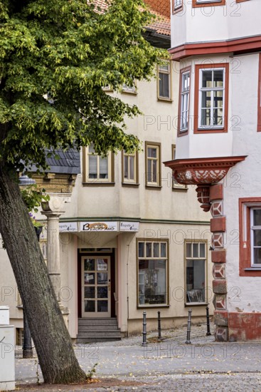 Summer day view of a historic street with distinctive facades and trees, The old town of Arnstadt