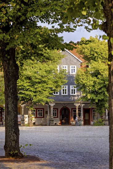 Cobblestone square surrounded by historic buildings and leafy trees, The old town of Arnstadt in