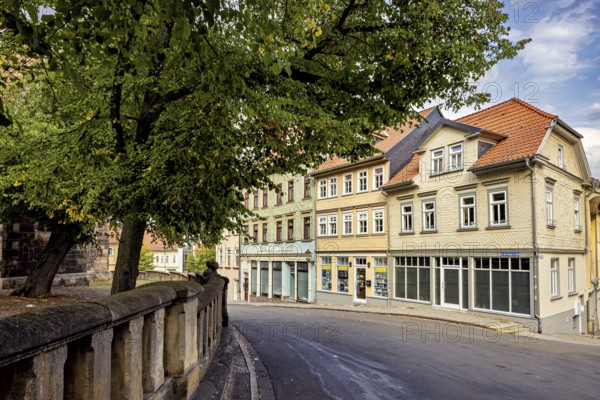 Street in the old town with trees and historic buildings on a sunny day, The old town of Arnstadt