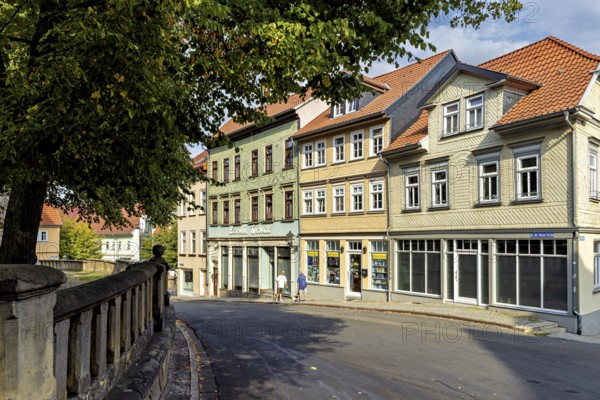 Street view with old buildings and trees in the city center in summer weather, The old town of