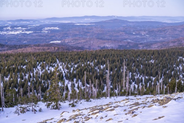View from Mount Lusen over the hills of the bavarian forest at sunrise in winter, Bavaria, Germany