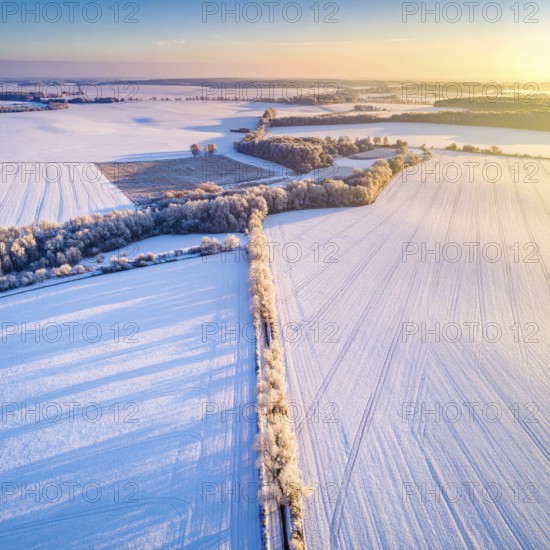 Bird Eye Perspective of Frost Covered Farmland. Seasonal Agricultural Scenery, winter and autumn
