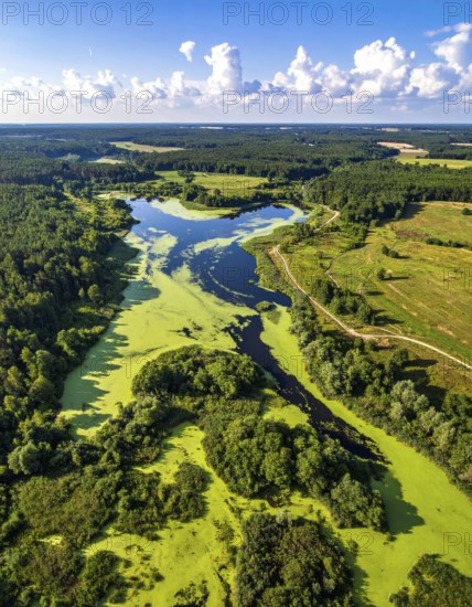 Green algae on the lake. Aerial view of nature, landscape with hills and forest in summer, cloudy