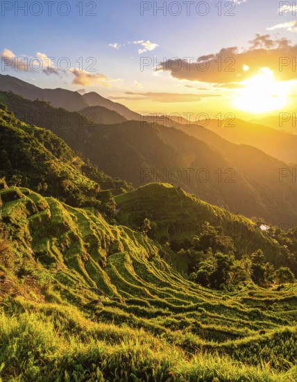 Early morning light bathes Philippines rice terraces cascading down mountain slopes, beautiful