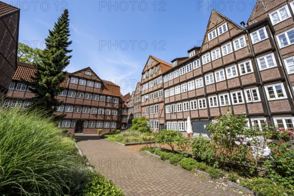 Facades of the historic brick buildings, inner courtyard, view over the city, Peterstraße,