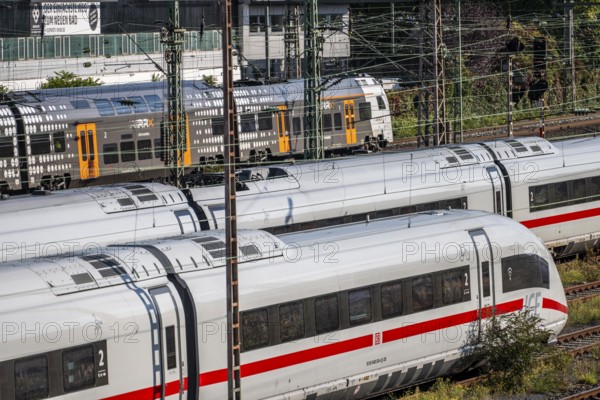ICE trains on the railway line, RRX, Rhine-Ruhr-Express, regional train, north of Düsseldorf main