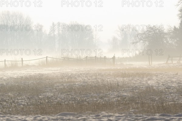 Winterlandschaft, aufsteigender Bodennebel im Licht der Morgensonne, Nordrhein-Westfalen,