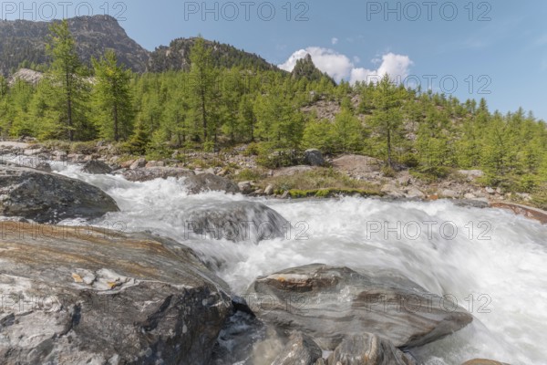 A rushing river cascades over smooth stones, surrounded by lush green trees and majestic mountains.