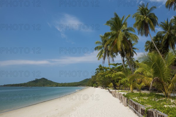 White sandy beach and coconut palms, Pearl Beach, Koh Mook, Trang Province, Southern Thailand,