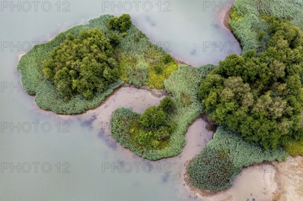 Aerial view, islands in the Drau, river, Carinthia, Austria