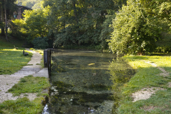 Lauter spring, Große Lauter, karst spring, body of water, park, idyll, meadow, lawn, trees,
