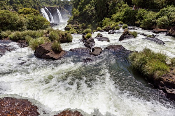 White water between rocks and plants with a distant waterfall in the background, The Iguazu Falls