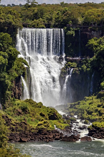 Large waterfall surrounded by dense vegetation, falls into a river, The Iguazu Falls between