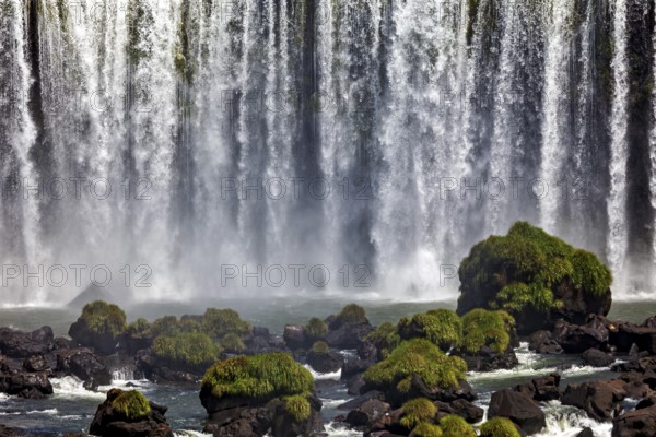 A majestic waterfall cascades over rocks covered in moss, The Iguazu Falls between Argentina and