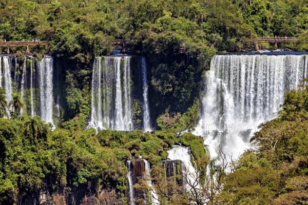 Majestic waterfalls, surrounded by lush greenery, in the dense jungle, The Iguazu Falls between