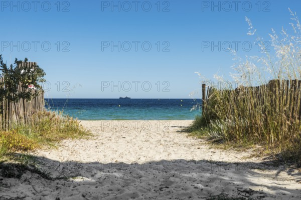 Sandy beach beach, Plage de Tahiti, Saint Tropez, Var, French Riviera, Provence-Alpes-Cote d'Azur,