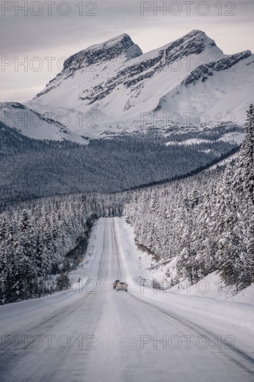Winter road trip on the Icefields Parkway with lots of snow and ice, Banff National Park, Jasper