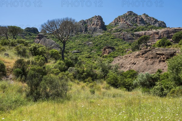 Rocher du roquebrune, Roquebrune-sur-Argens, near Saint-Raphaël, Massif de l'Esterel, Esterel