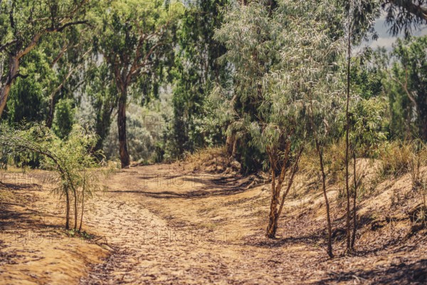 Outback Scenes Australia