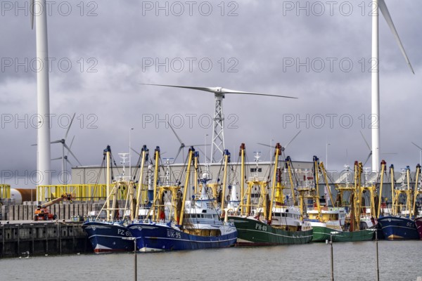 Fishing boats in Beatrixhaven, the seaport of Eemshaven, industrial harbour, at the quay,