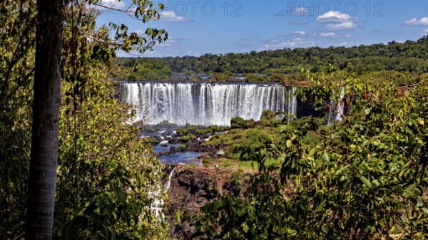 Large waterfall in the distance, framed by dense foliage and clear skies, The Iguazu Falls between