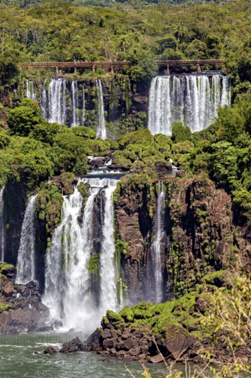 Diverse waterfalls embedded in the forest with green vegetation, The waterfalls of the Iguazu